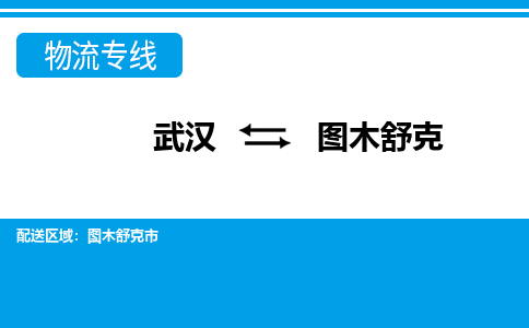 武汉到图木舒克物流货运公司-武汉到图木舒克物流-物流货运运输