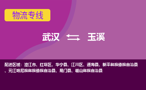 武汉到玉溪物流货运公司-武汉到玉溪物流-物流货运运输