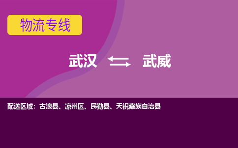 武汉到武威物流货运公司-武汉到武威物流-物流货运运输