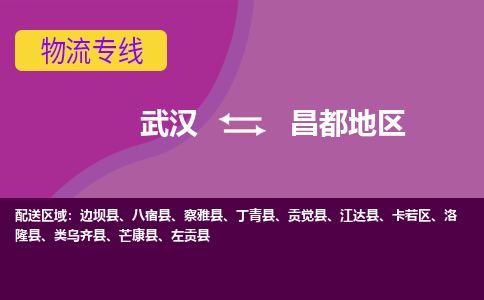 武汉到昌都地区物流货运公司-武汉到昌都地区物流-专业运输-准时达