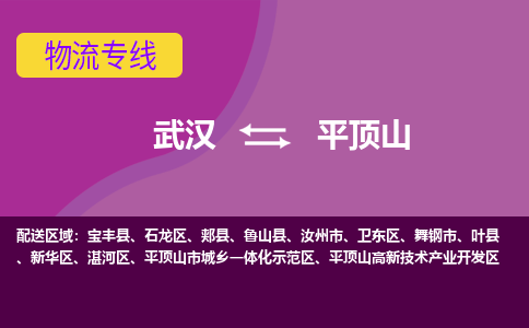 武汉到平顶山物流货运公司-武汉到平顶山物流-物流货运运输