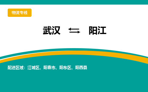 武汉到阳江物流货运公司-武汉到阳江物流-专业运输-准时达