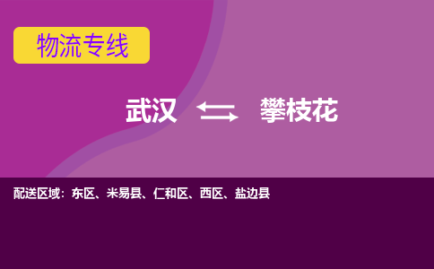 武汉到攀枝花物流货运公司-武汉到攀枝花物流-专业运输-准时达