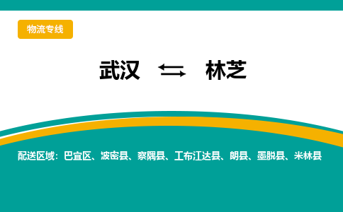 武汉到林芝物流货运公司-武汉到林芝物流-专业运输-准时达