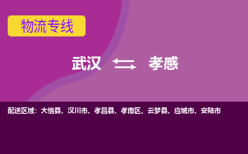 武汉到孝感物流货运公司-武汉到孝感物流-专业运输-准时达