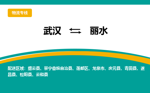 武汉到丽水物流货运公司-武汉到丽水物流-专业运输-准时达