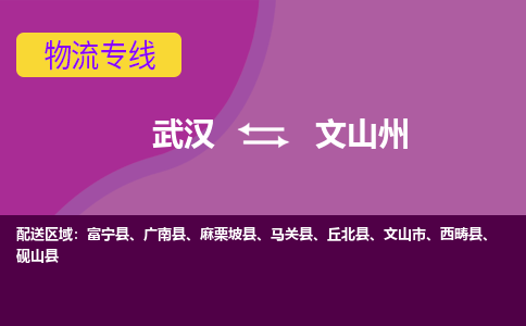 武汉到文山州物流货运公司-武汉到文山州物流-物流货运运输