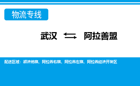 武汉到阿拉善盟物流货运公司-武汉到阿拉善盟物流-专业运输-准时达