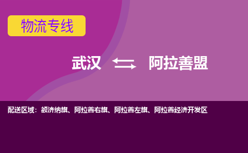 武汉到阿拉善盟物流货运公司-武汉到阿拉善盟物流-物流货运运输