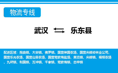 武汉到乐东县物流货运公司-武汉到乐东县物流-物流货运运输