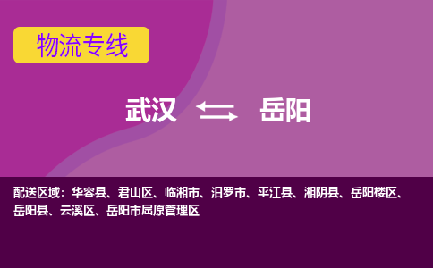 武汉到岳阳物流货运公司-武汉到岳阳物流-专业运输-准时达