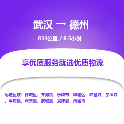 武汉到德州物流货运公司-武汉到德州物流-专业运输-准时达