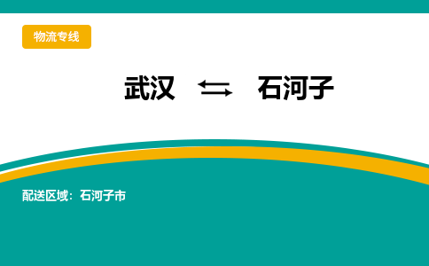 武汉到石河子物流货运公司-武汉到石河子物流-专业运输-准时达