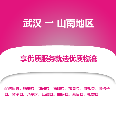 武汉到山南地区物流货运公司-武汉到山南地区物流-专业运输-准时达