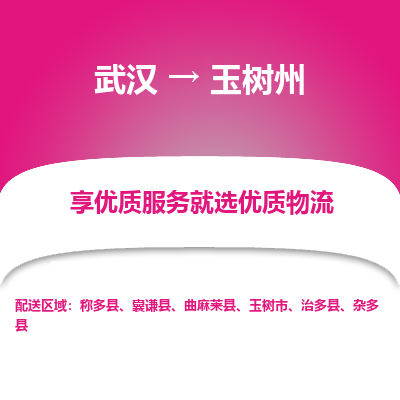 武汉到玉树州物流货运公司-武汉到玉树州物流-专业运输-准时达