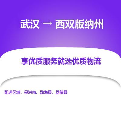 武汉到西双版纳州物流货运公司-武汉到西双版纳州物流-专业运输-准时达